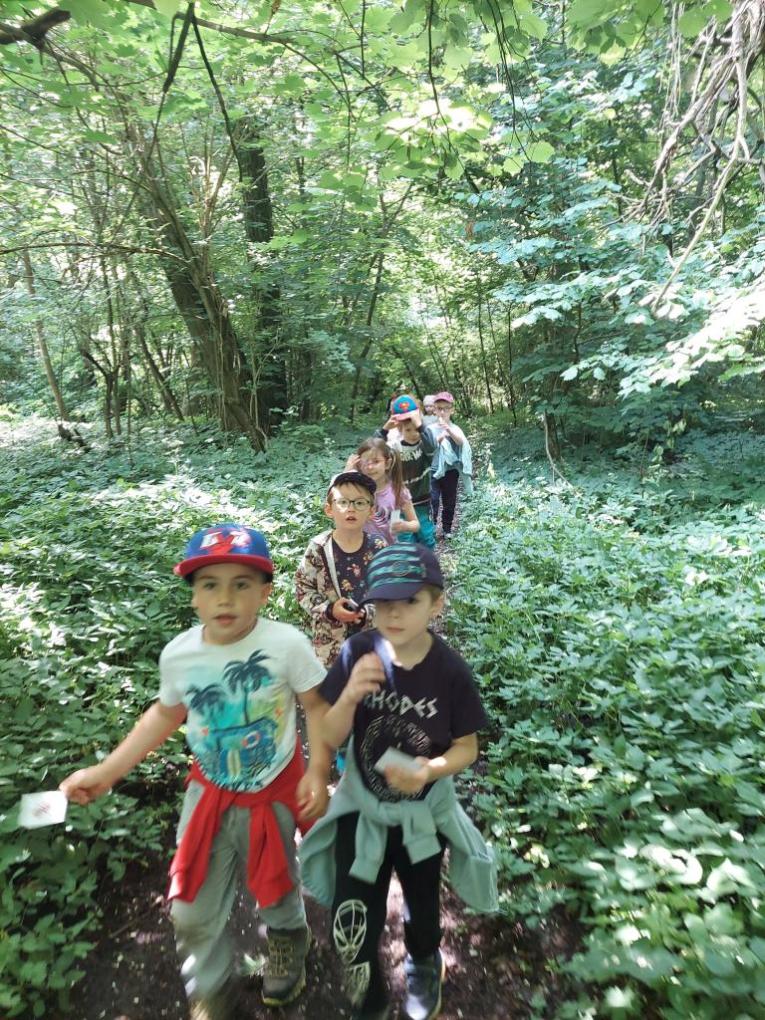 Mravenečkova cestička