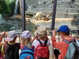 ZOO 