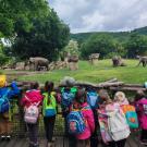 ZOO